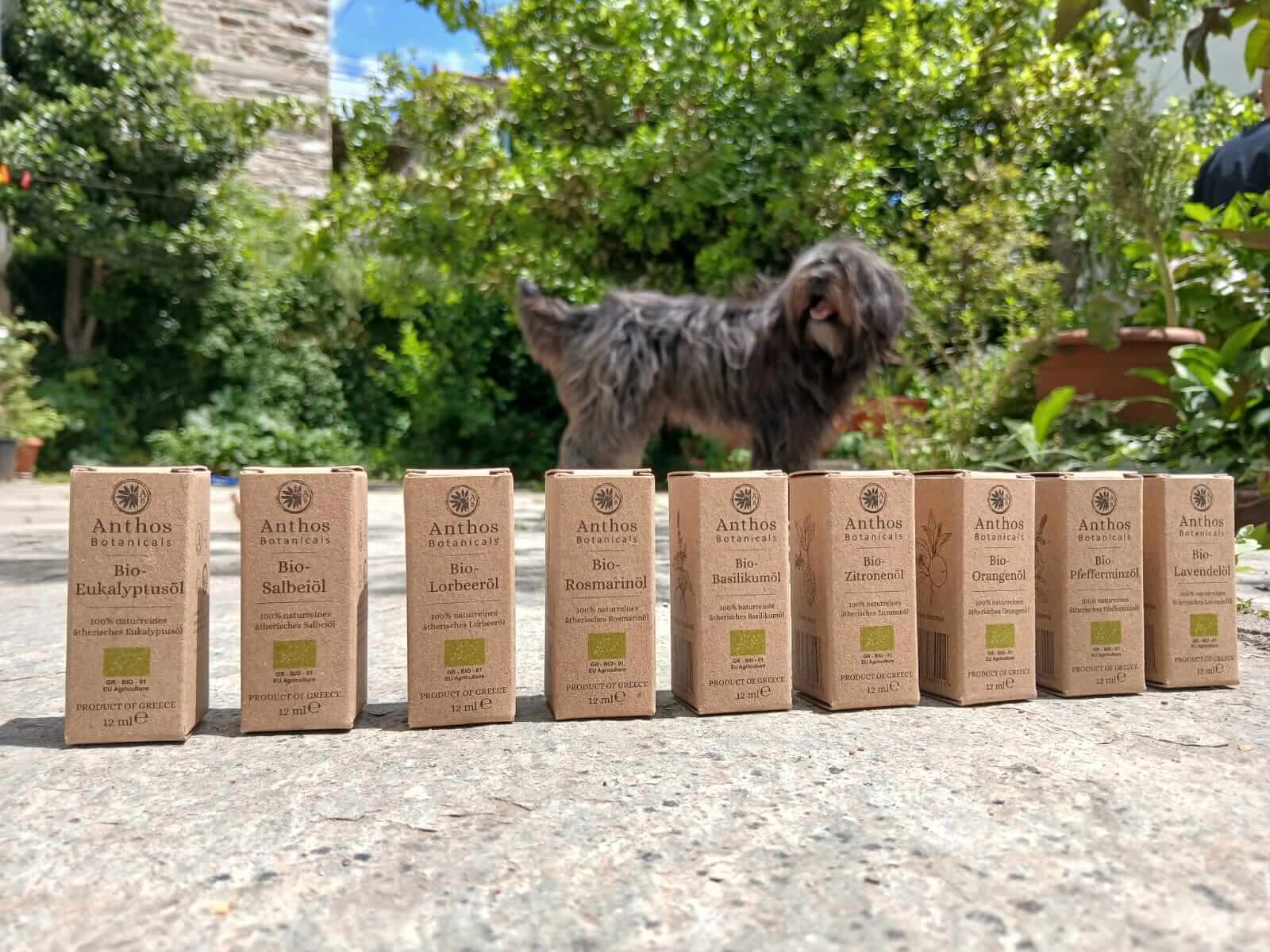 Unsere erste Kollektion ätherische Bio Öle, bestehend aus Oregano, Thymian, Rosmarin, Lorbeer, Lavendel, Eukalyptus, Pfefferminze, Zitrone und Orange
