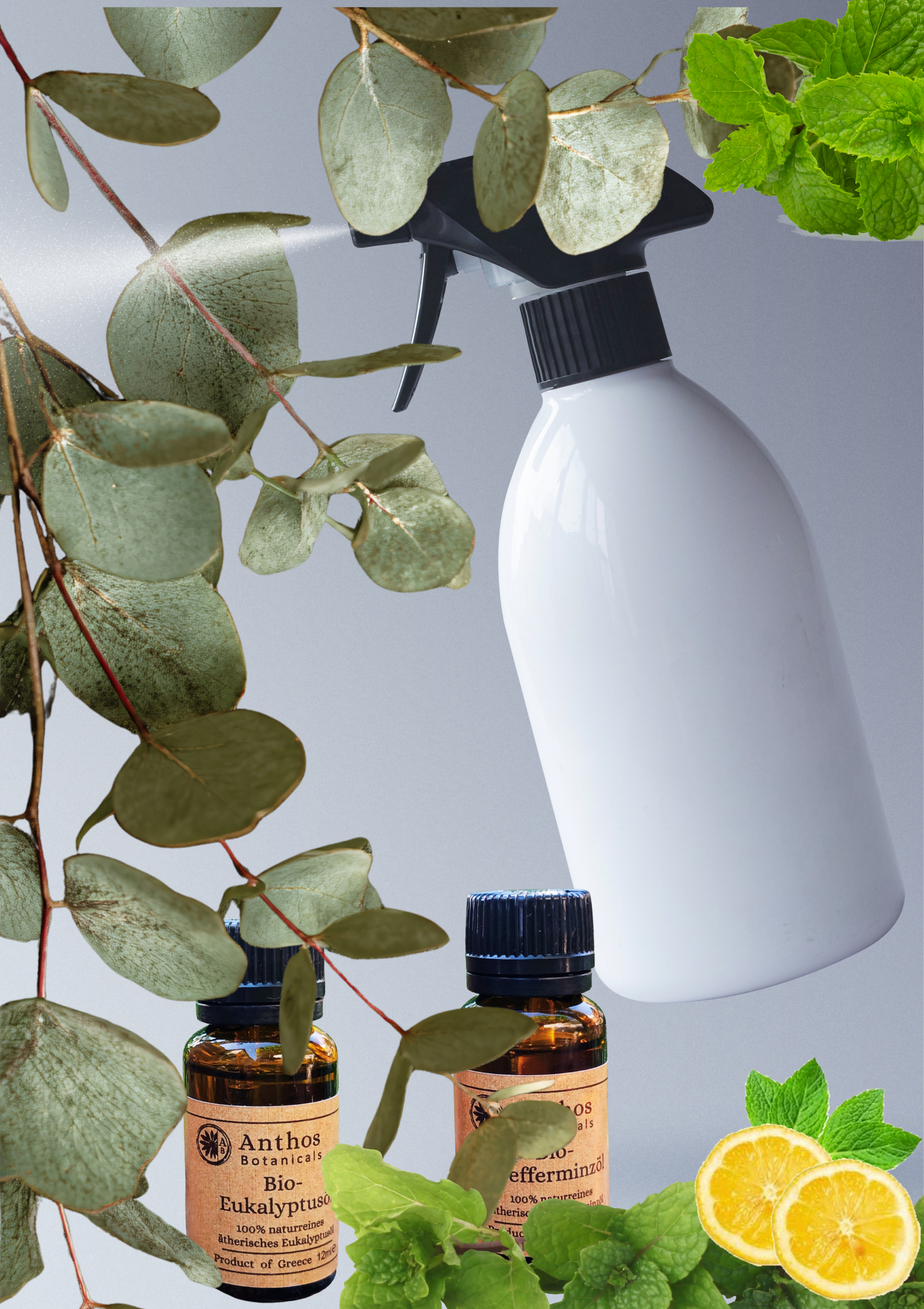 Eine Sprühflasche und zwei ätherische Öle aus Eukalyptus und Pfefferminz
