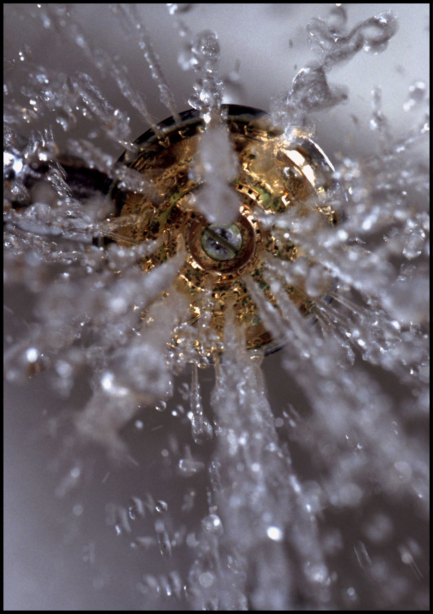 Ein Duschkopf aus dem Wasser kommt.
