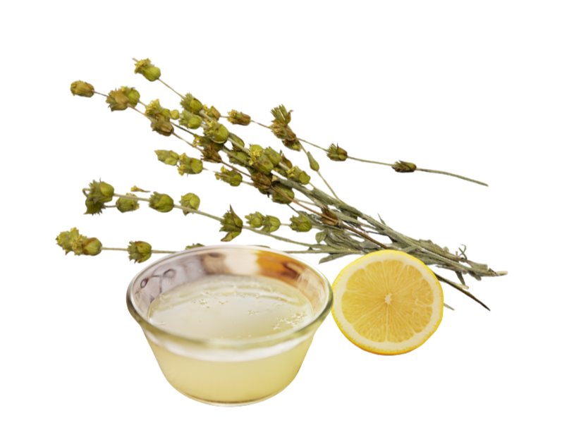 Zitronensaft und ein Bündel griechischer Bergtee