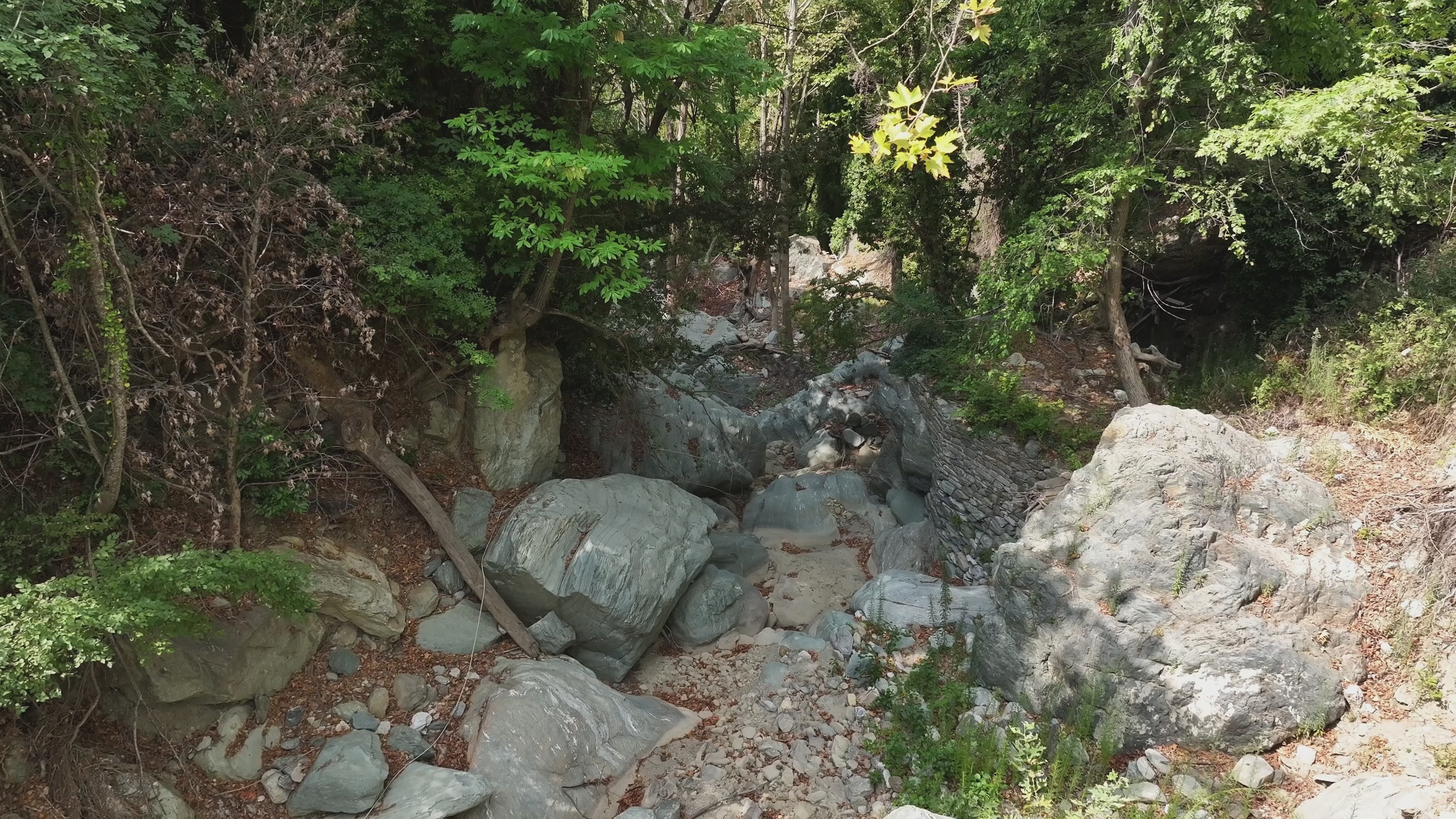 getrockneter Wasserlauf unterhalb von Drakeia am Peliongebirge