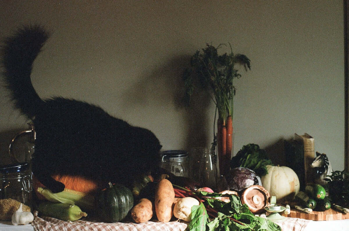 a cat standing on top of a table filled with vegetables