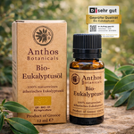 Kraftverpackung und Braunglasflasche mit ätherischem Eukalyptusöl von Anthos Botanicals auf einem Felsen in der Natur