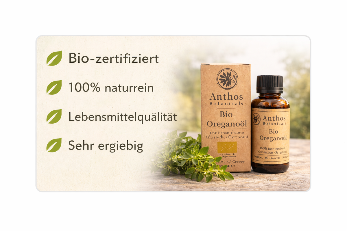 Kraftverpackung und Braunglasflasche des ätherischen Oreganoöls bio von Anthos Botanicals mit Qualitätsmerkmalen.