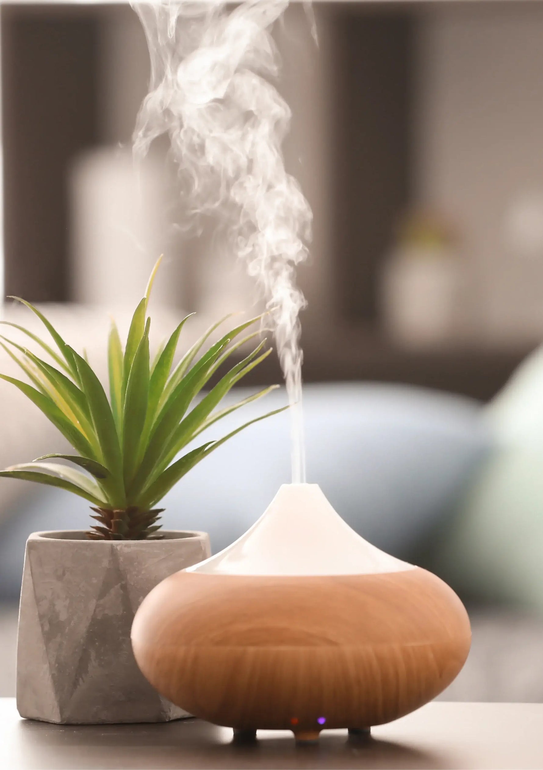 Ein Diffusor mit ätherischem Oreganoöl steht neben einer Pflanze auf einem Tisch.