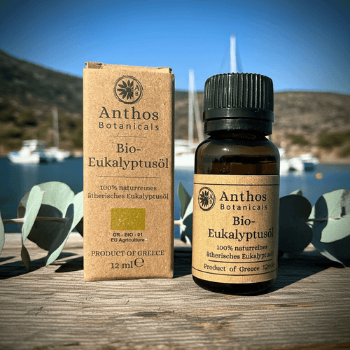 Kraftverpackung und Braunglasflasche mit Eukalyptusöl Bio vor einem Hafen mit Segelbooten.