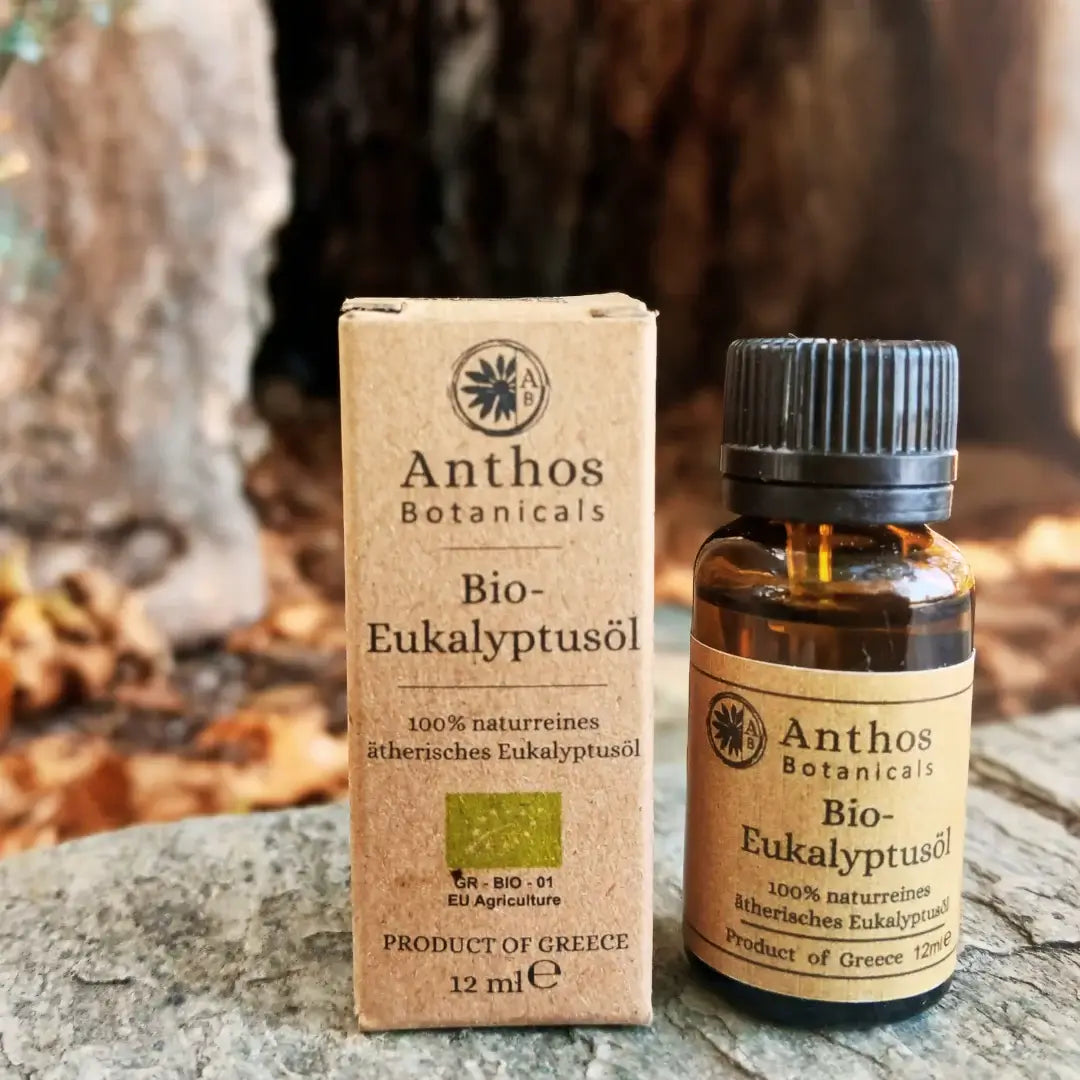 Kraftverpackung und Braunglasflasche mit ätherischem Eukalyptusöl von Anthos Botanicals auf einem Felsen in der Natur