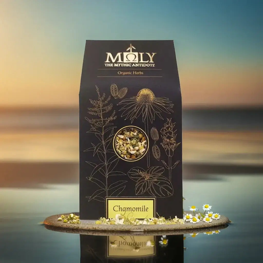 Eine Moly Verpackung mit Kamillenblüten bio auf einem Stein am Strand während der aufgehenden Sonne.