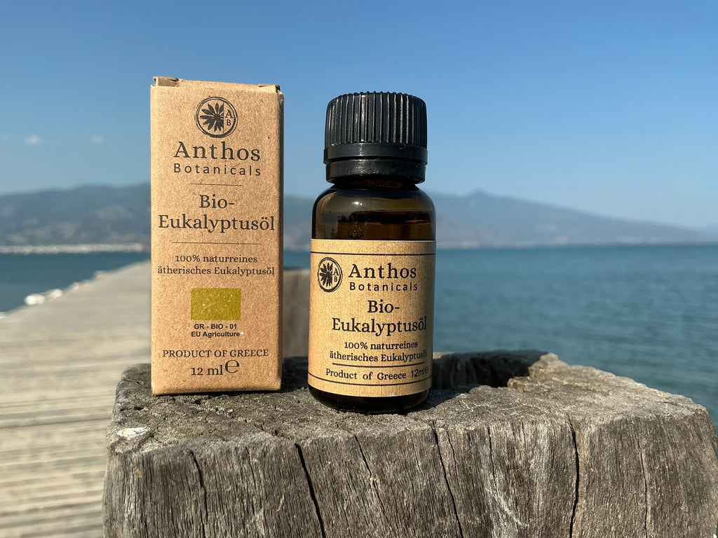 Kraftverpackung und Braunglasflasche mit Eukalyptusöl Bio auf einem Steg am Meer.