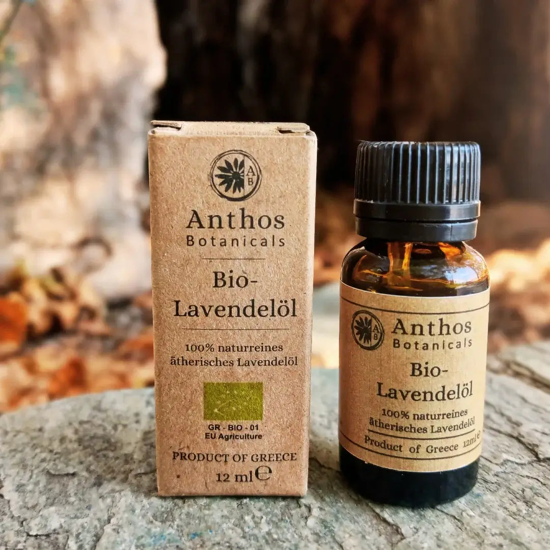 Kraftverpackung und Braunglasflasche mit ätherischem Lavendelöl bio 12 ml von Anthos Botanicals auf einem Felsen in der Natur.