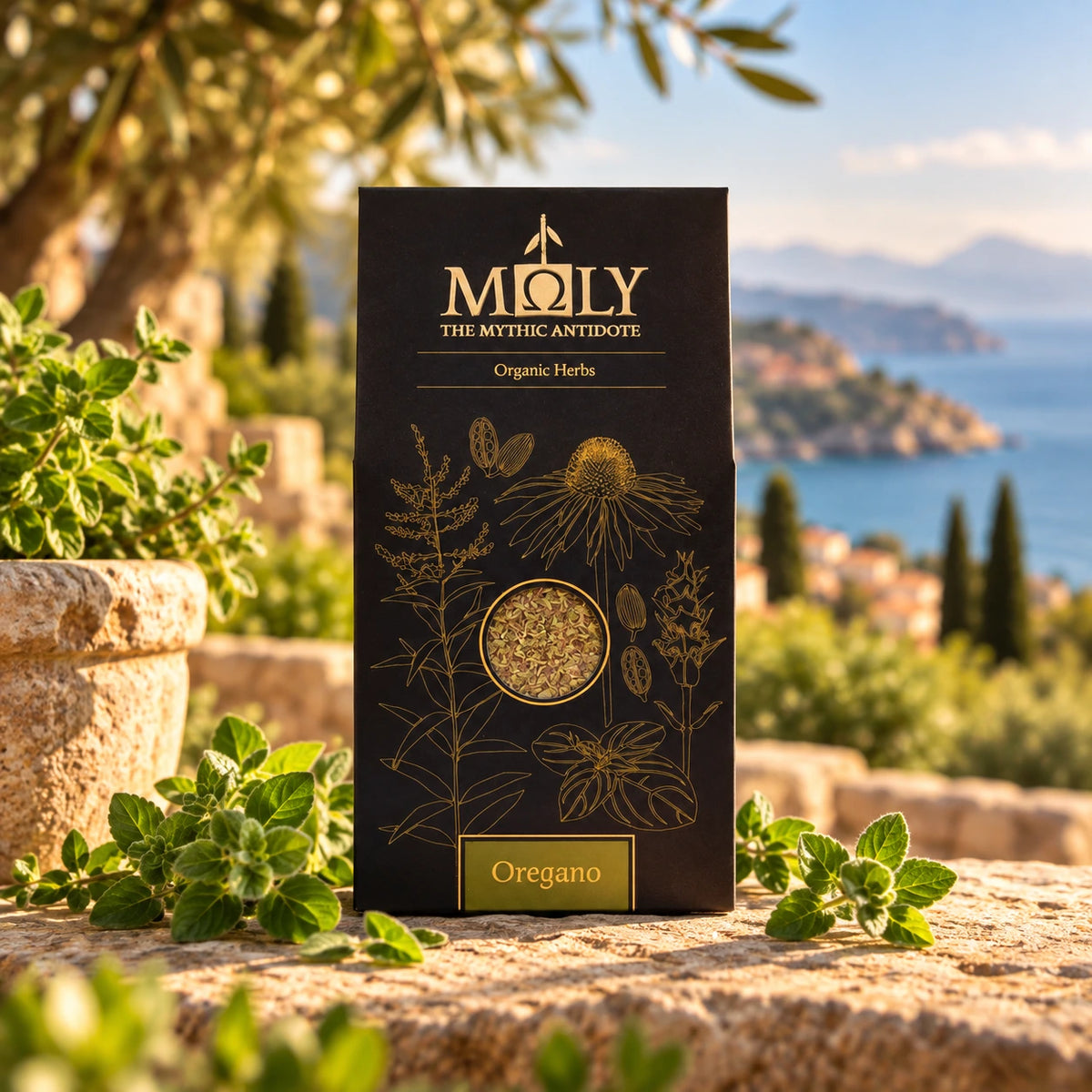Eine schwarze Verpackung von Moly mit Oregano Bio auf einer Steinbrüstung vor dem Mittelmeer.