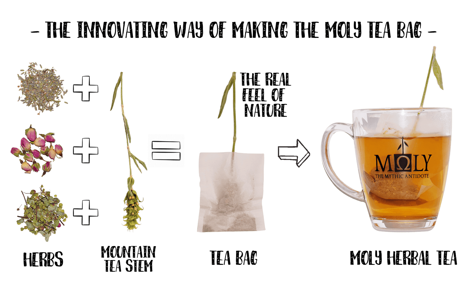 Dieses Bild zeigt die Herstellung und Anwendung der Moly Variety Tees wie sie in der Display Box vorhanden sind..