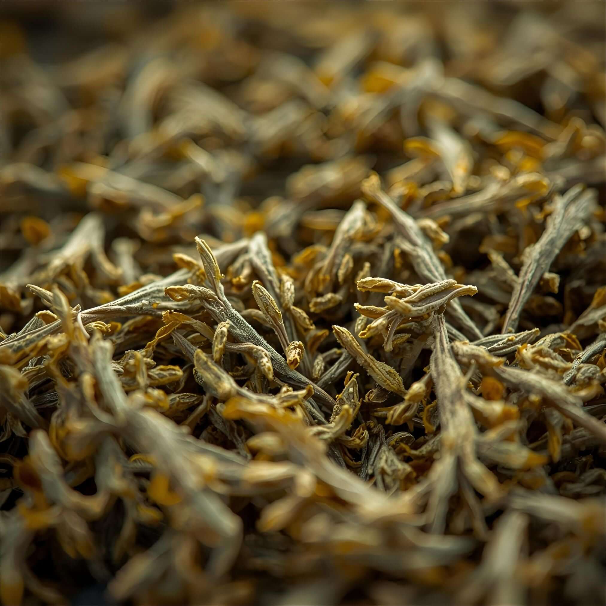 getrocknete Blätter der Zitronenverbene 