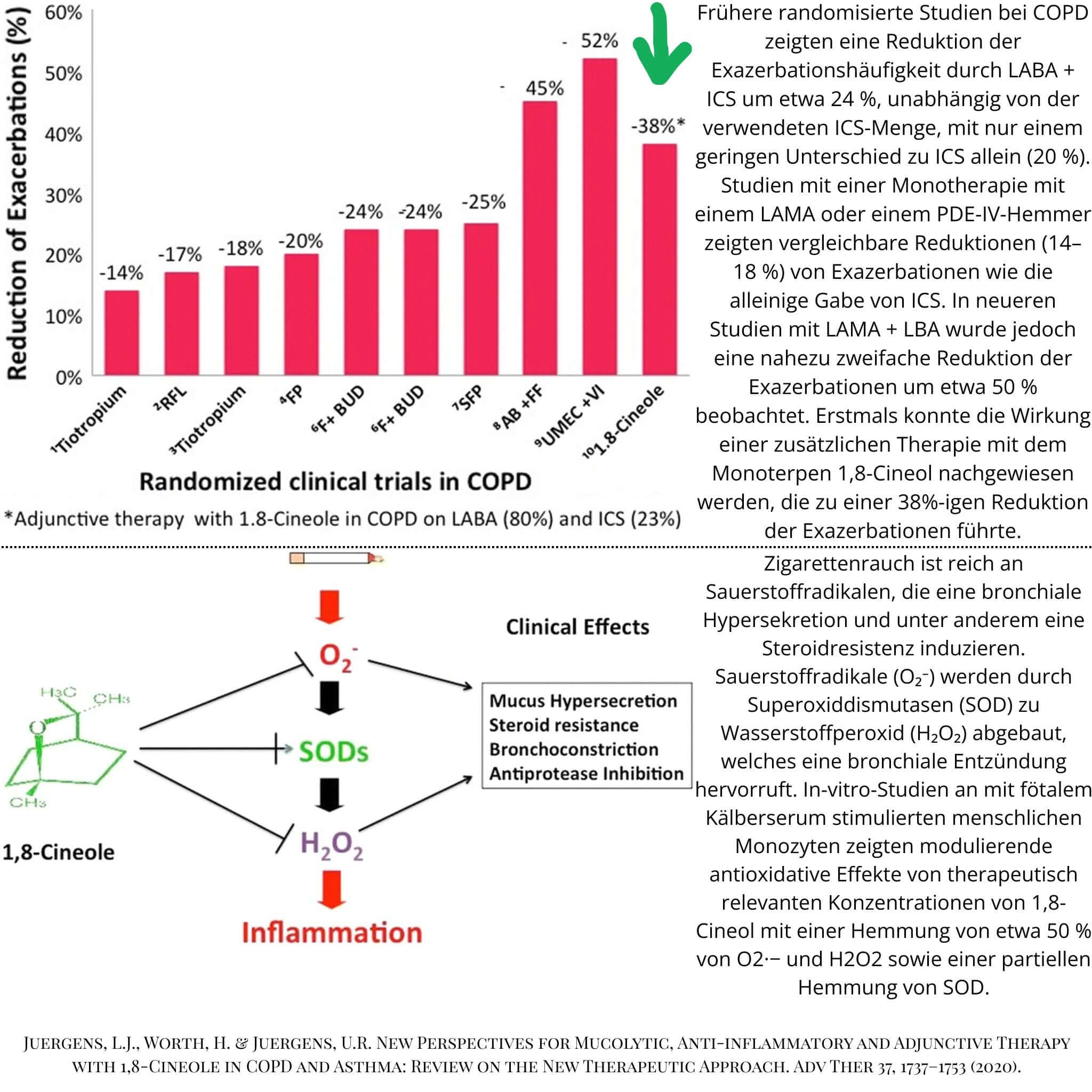 Zwei Graphiken aus einer wissenschaftlichen Studie zur Veranschaulichung der entzündungshemmenden Eigenschaften von Eucalyptol.
