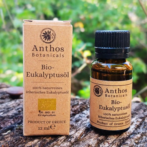 Kraftverpackung und Braunglasflasche mit ätherischem Eukalyptusöl bio von Anthos Botanicals auf einem Felsen in der Natur.