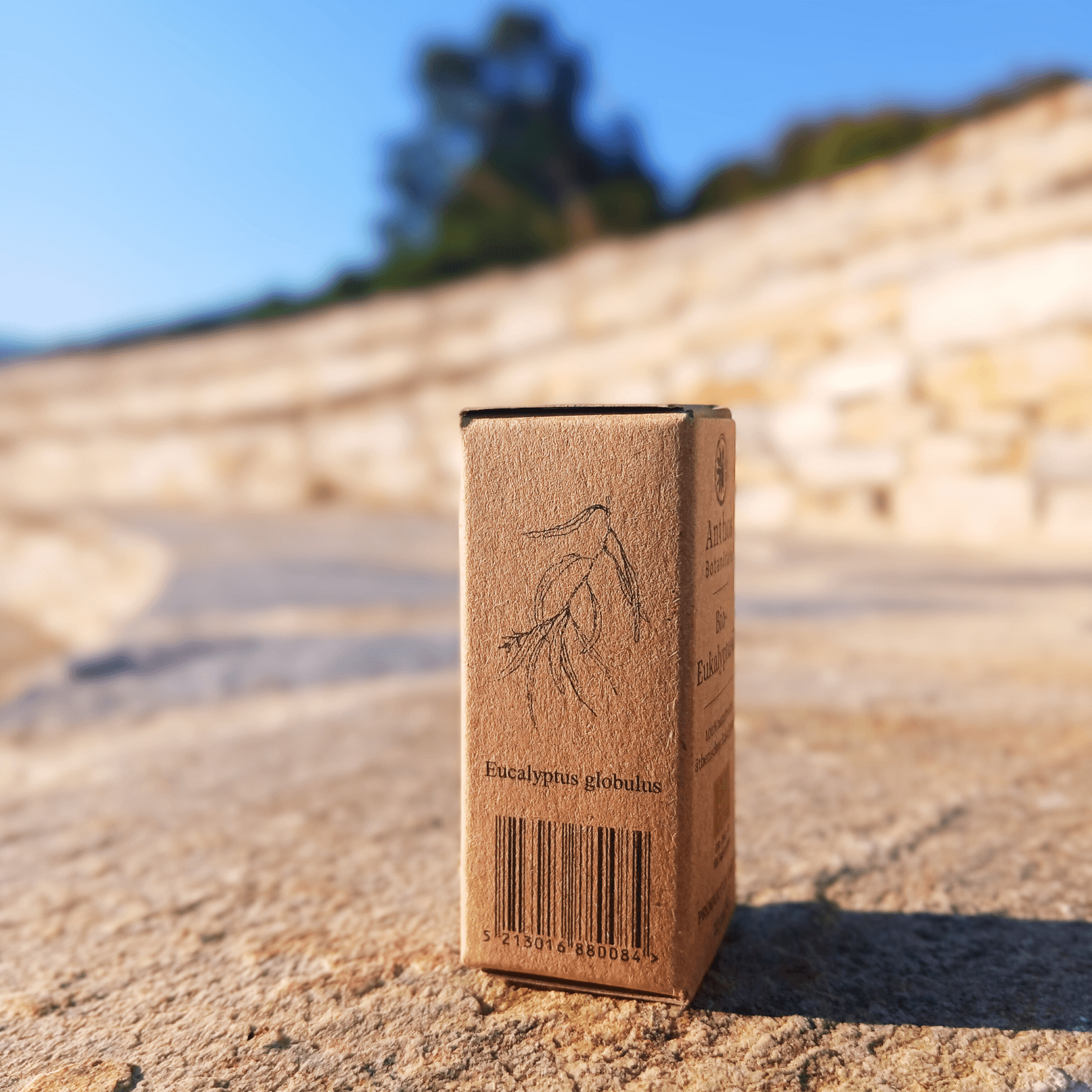 Eine braune Kraftverpackung mit ätherischem Eukalyptusöl bio von Anthos Botanicals.