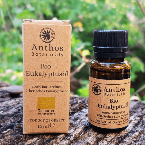 Kraftverpackung und Braunglasflasche mit Eukalyptusöl auf einem Felsen in der Natur.