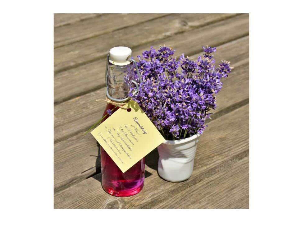 Eine Flasche Lavendelsirup neben einem Lavendelbütenstrauch.