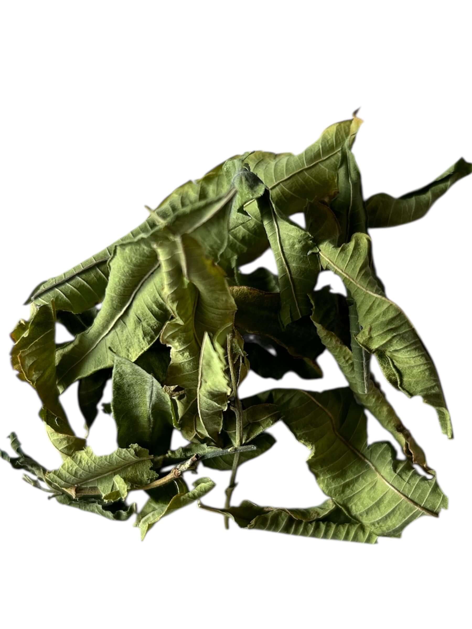 getrocknete Zitronenverbene