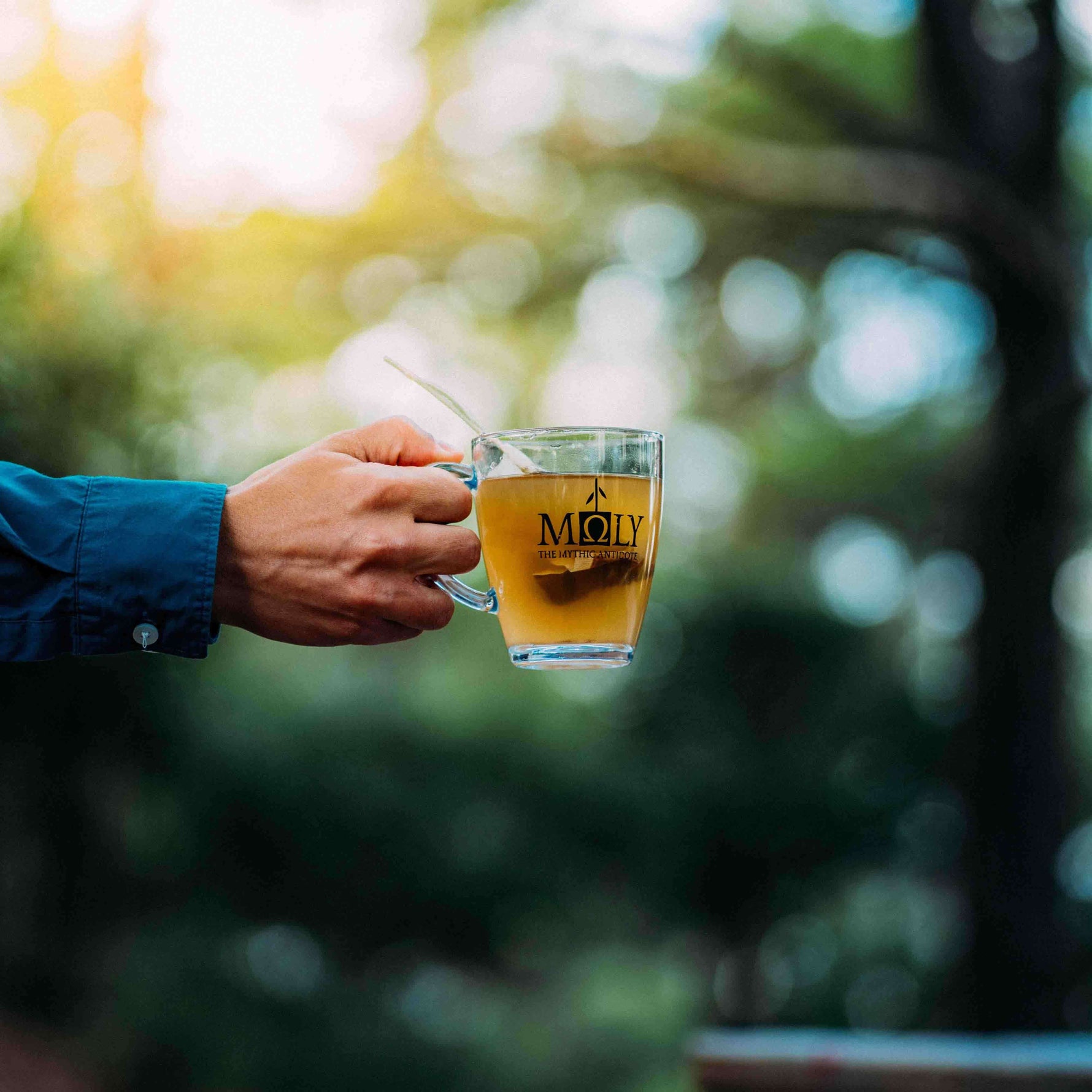 Eine männliche Hand hält ein Glas mit dem MOLY Kräutertee, welches in der Display Box vorhanden ist.. Im Hintergrund sind Bäume zu erkennen.