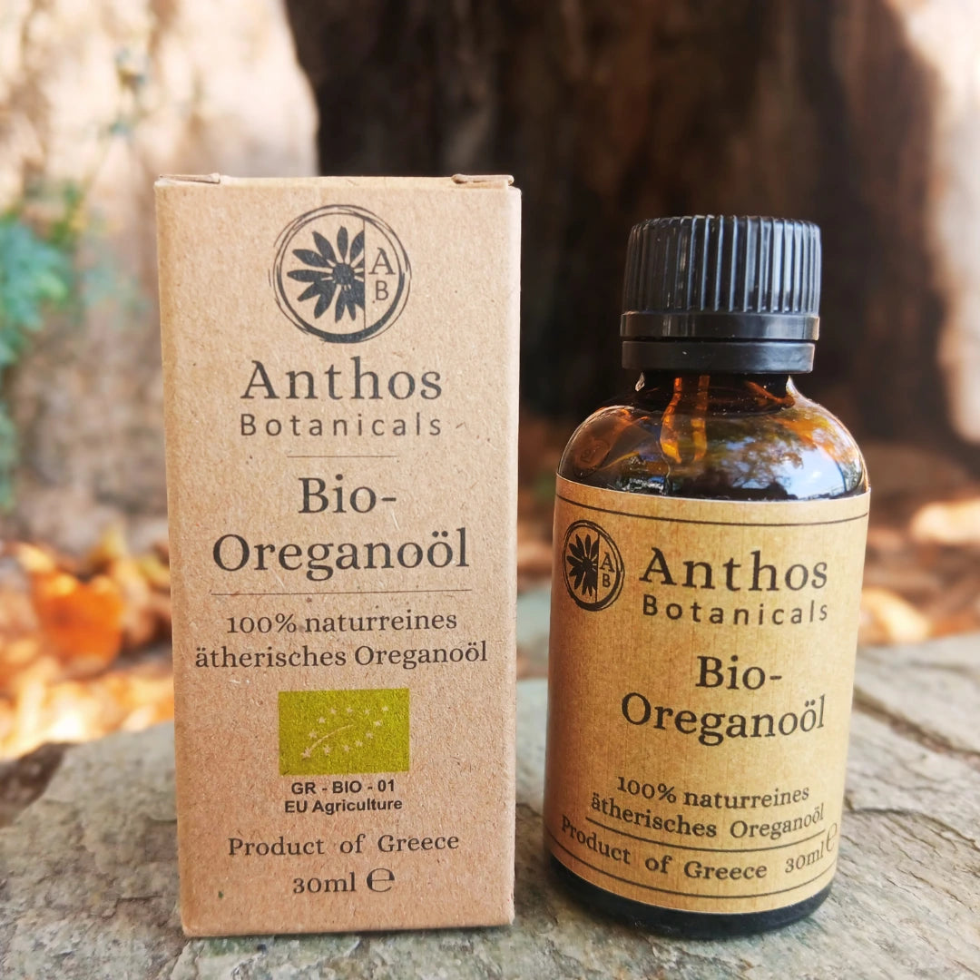 Kraftverpackung und Braunglasflasche mit ätherischem Oreganoöl bio von Anthos Botanicals auf einem Felsen vor einem Baumstamm.