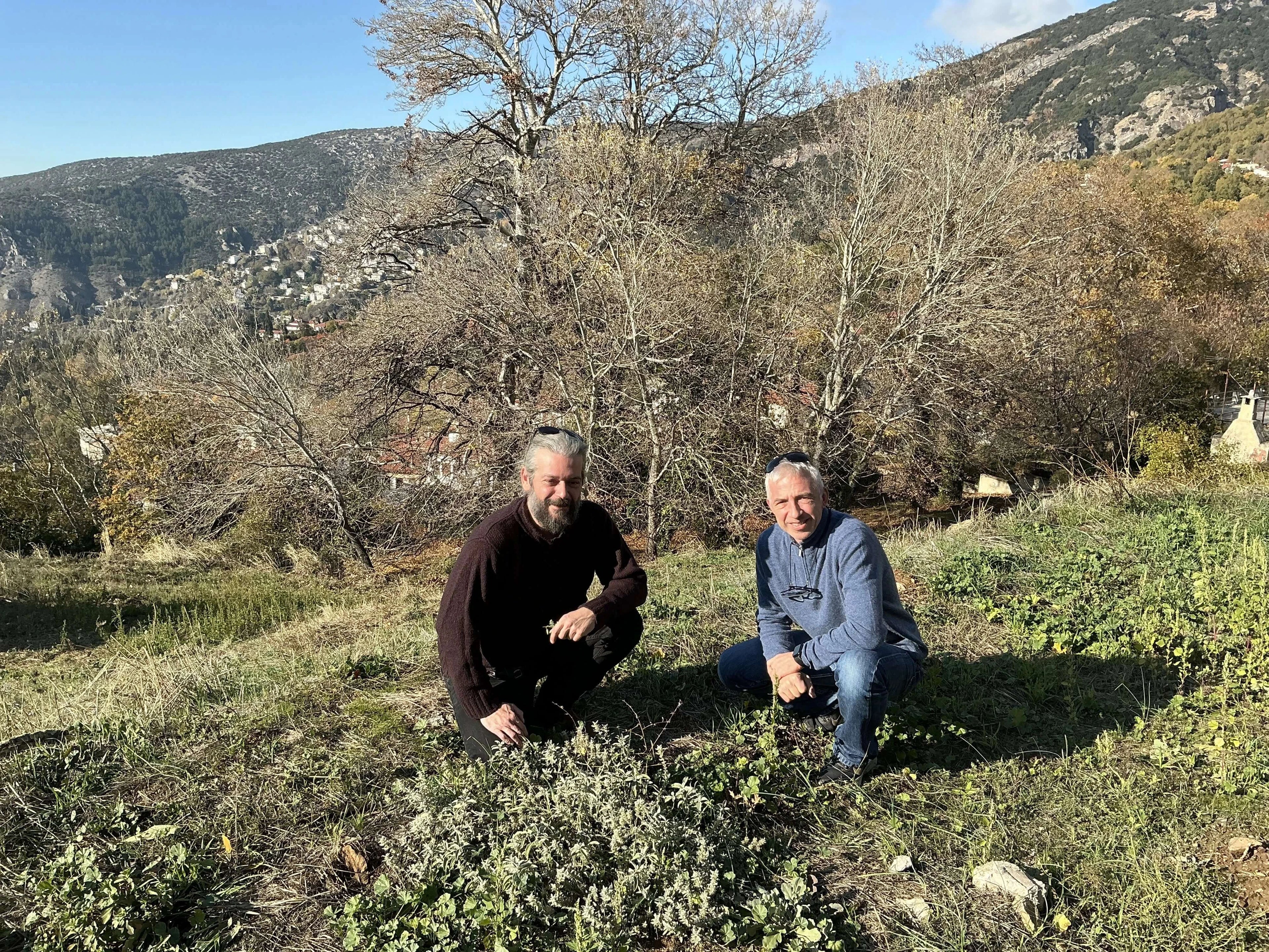 Die Gründer von Anthos Botanicals Manolis und Michael in Portaria.  